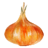 Gemüsesamen